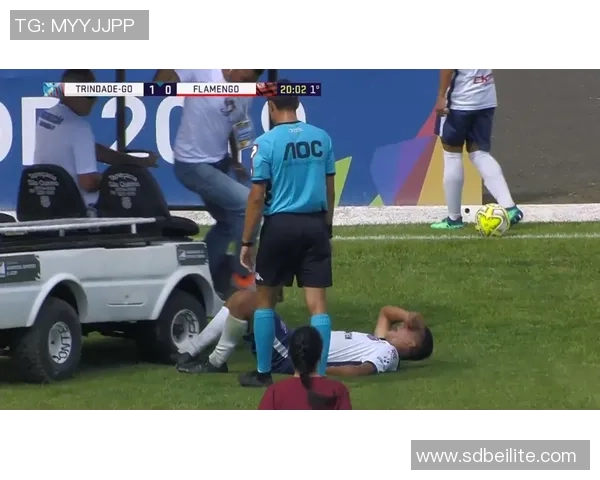 最新一期天下足球深度解析全球足球动态与明星球员精彩表现