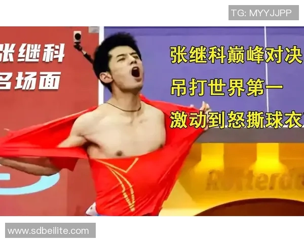 张继科与马特的巅峰对决乒乓球赛场上的精彩瞬间与战术较量
